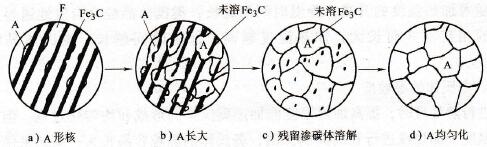 共析鋼中奧氏體形成過程示意圖